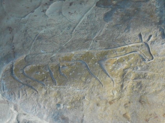 Подобных петроглифов под скальным козырьком сохранилось около полутора сотен. Фото: nr2.ru