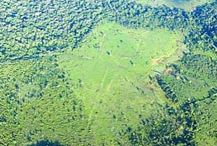В Амазонии обнаружены следы неизвестной цивилизации