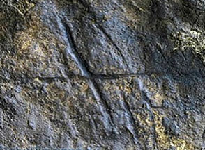 Обнаружен абстрактный рисунок, оставленный неандертальцем