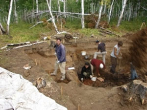 В новосибирском огороде обнаружено более 1000 артефактов от неолита до средневековья