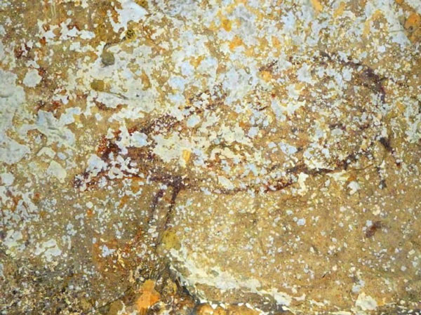 Наскальное изображение бабируссы, найденное на острове Сулавеси