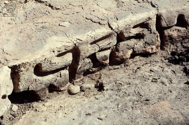 Обнаружена древнейшая грузинская надпись