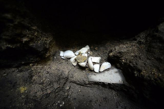 В Мексике нашли стену из черепов