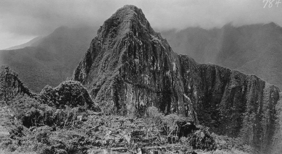 Мачу-Пикчу после открытия в густых зарослях. Фото 1912 года