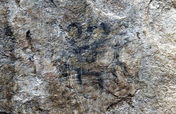 В Мачу-Пикчу нашли древние наскальные рисунки
