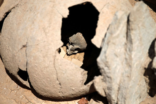 Кувшин с черепом ребенка с кладбища Фалиро Дельта. Распространенный в Древней Греции способ детских погребений