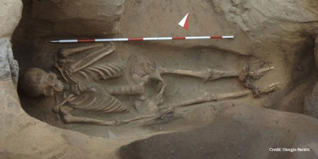 Скелет человека с оковами на ногах и железным кольцом на шее
