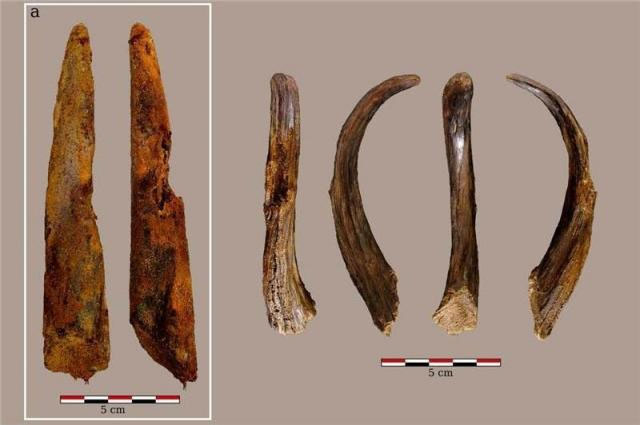 Деревянные орудия неандертальцев