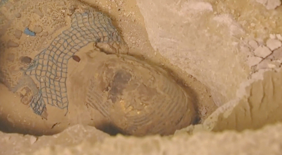 В Египте на кладбище нашли 2500-летнюю мумию