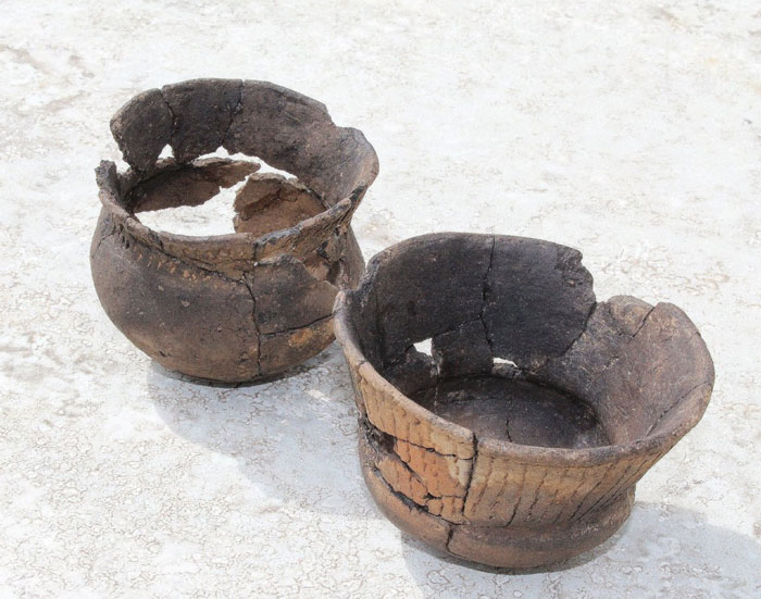 Кузнечихинские древности: что нашли археологи при раскопках