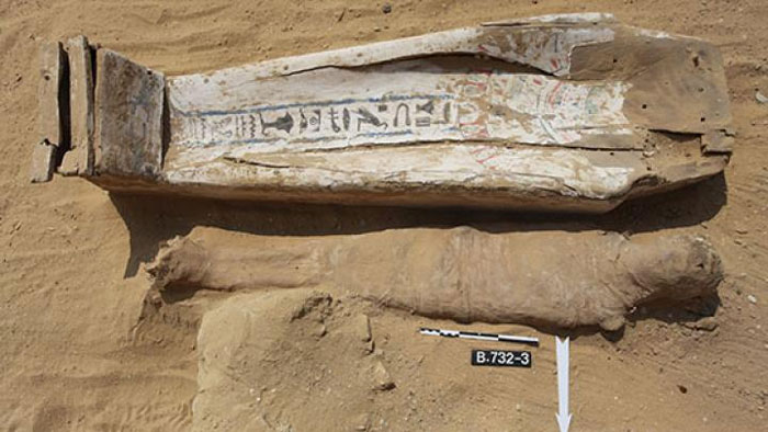 Недавно обнаруженные мумии. Источник: © J. Dabrowski, PCMA