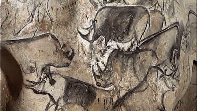 Настенные рисунки шерстистых носорогов из пещеры Шове-Пон-Д’Арк: https://en.wikipedia.org/wiki/Cave_painting#/media/File:Rhinos_Chauvet_Cave.jpg