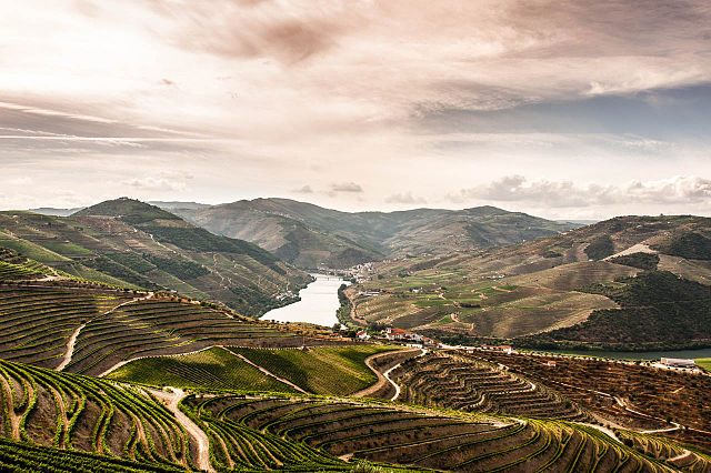 Виноградники на берегу реки Дору, которая протекает по северо-востоку Португалии: https://en.wikipedia.org/wiki/Port_wine#/media/File:The_Douro_Valley_vineyards.jpg