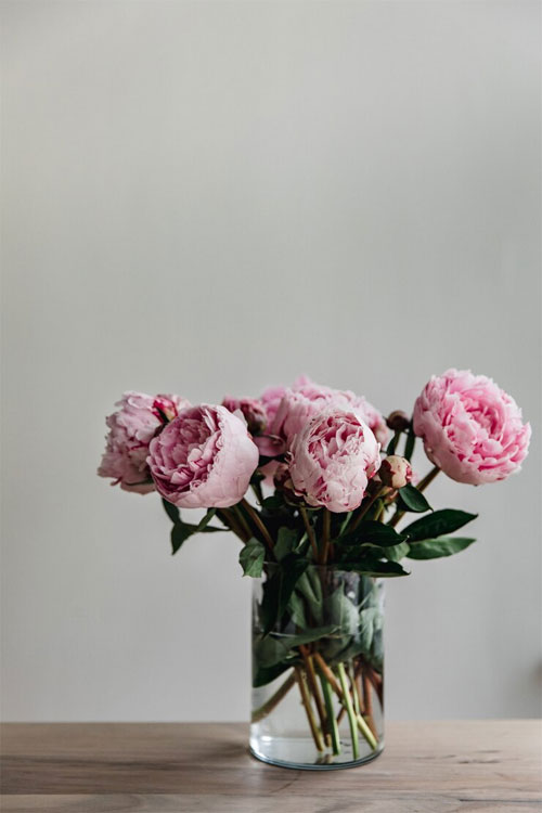 https://ru.freepik.com/free-photo/vertical-shot-of-pink-peonies-with-green-leaves-in-a-glass-vase_8281242.htm#query=%D0%BF%D0%B8%D0%BE%D0%BD&position=31&from_view=search&track=sph&uuid=e35c0e6a-0f3d-446e-a10f-c88574b395f1