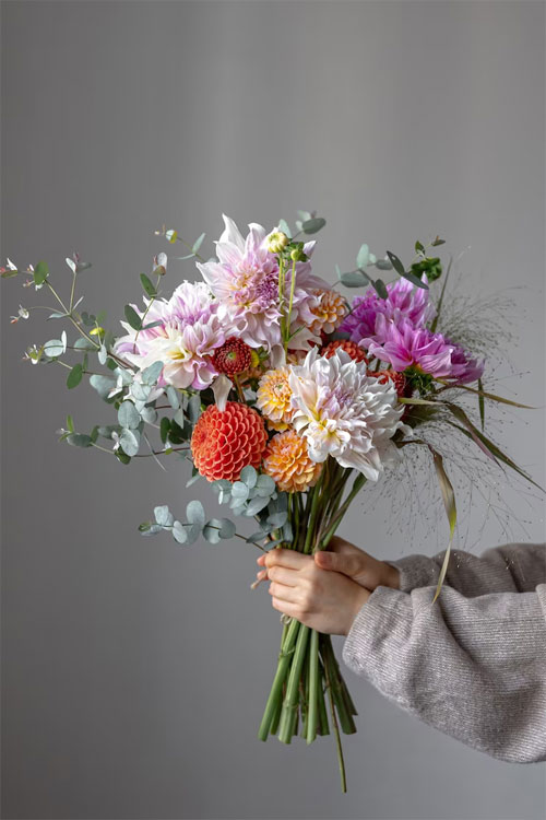 https://ru.freepik.com/free-photo/a-woman-is-holding-a-festive-bouquet-with-chrysathemum-flowers-in-her-hands_20079365.htm#query=%D0%B1%D1%83%D0%BA%D0%B5%D1%82&position=1&from_view=search&track=sph&uuid=aad38a6b-21f9-42fc-be81-7a66204c0dc0