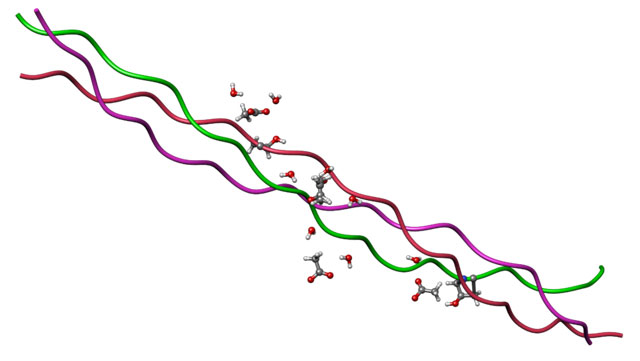  - https://upload.wikimedia.org/wikipedia/commons/thumb/7/7b/Collagen_triple-helical_structure.png/800px-Collagen_triple-helical_structure.png