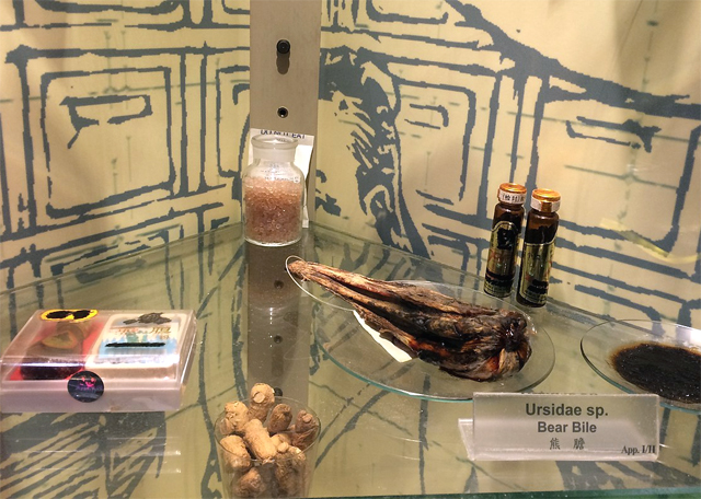 https://upload.wikimedia.org/wikipedia/commons/thumb/a/ad/Examples_of_Bear_Bile_Products_Seized_by_the_Hong_Kong_Government_-_%2837610617206%29.jpg/1280px-Examples_of_Bear_Bile_Products_Seized_by_the_Hong_Kong_Government_-_%2837610617206%29.jpg