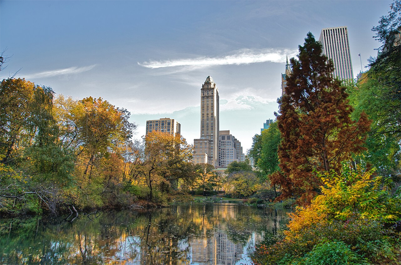 https://upload.wikimedia.org/wikipedia/commons/thumb/0/05/Southwest_corner_of_Central_Park%2C_looking_east%2C_NYC.jpg/1280px-Southwest_corner_of_Central_Park%2C_looking_east%2C_NYC.jpg